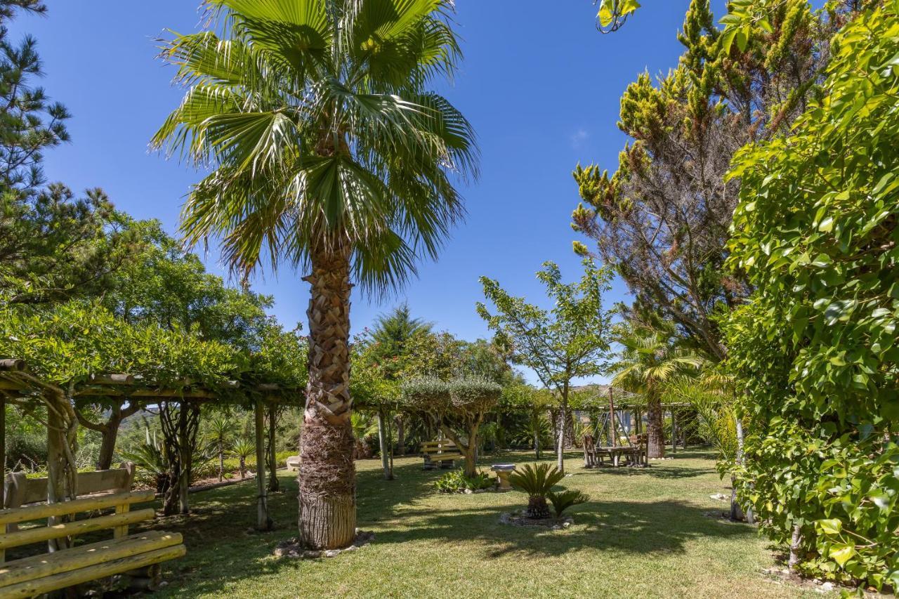 Quinta Do Monte Das Abelhas - La Venus De Lisbonne Calhandriz ภายนอก รูปภาพ